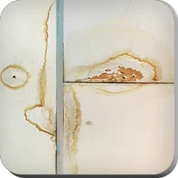 Deerfield Beach Restoration Company Deerfield Beach, FL 754-210-9244 Deerfield Beach Restoration Company Deerfield Beach, FL 754-210-9244 - about-section-04