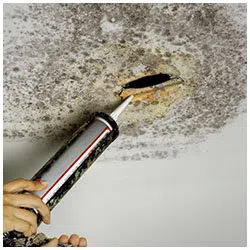 Deerfield Beach Restoration Company Deerfield Beach, FL 754-210-9244 Deerfield Beach Restoration Company Deerfield Beach, FL 754-210-9244 - side-mold-wgr-1